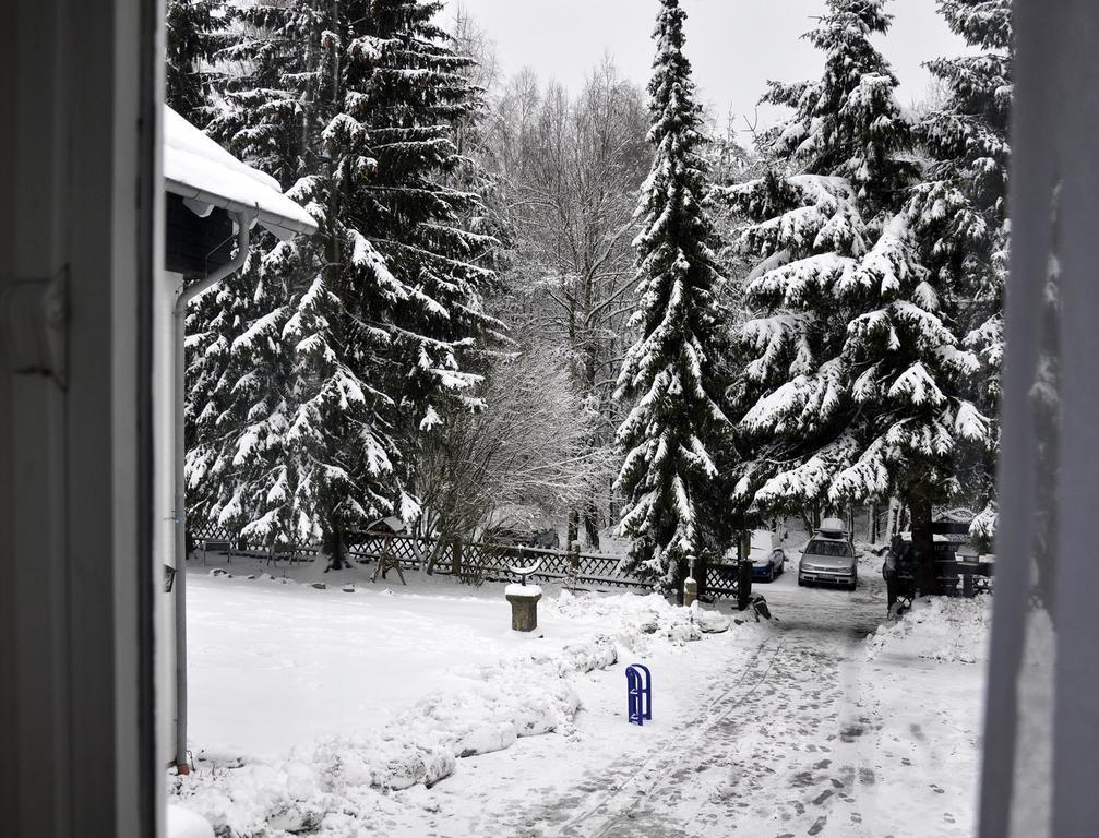 Haus Duemling Hotel Braunlage Exterior photo