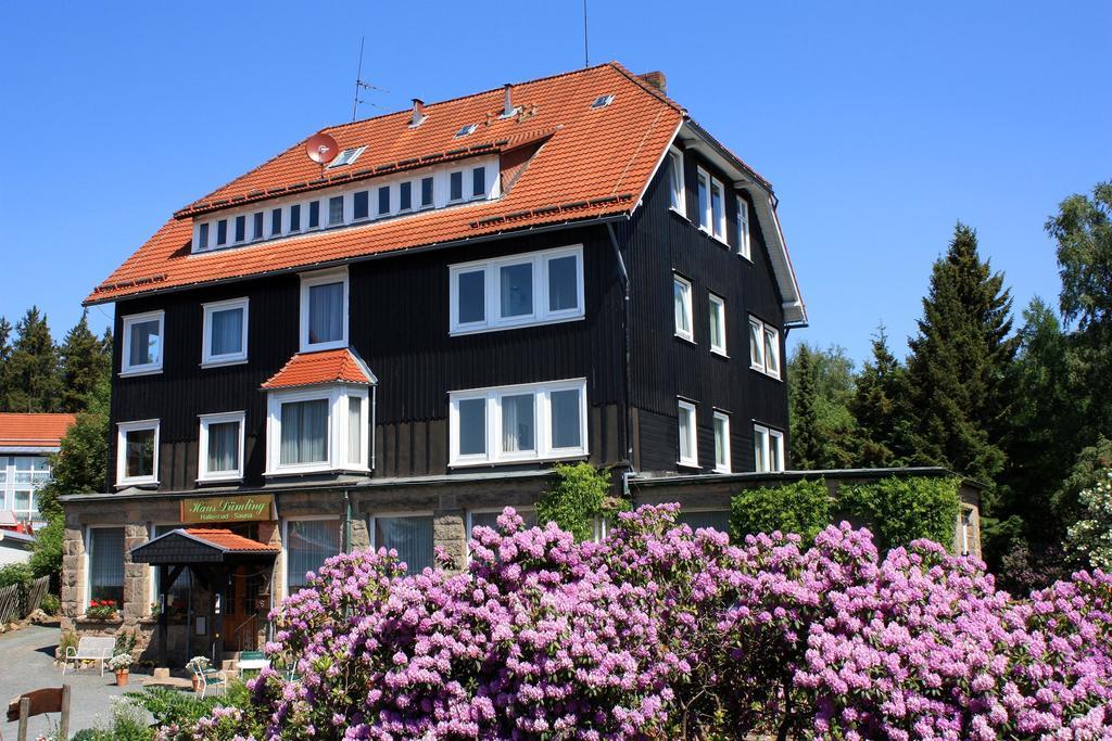 Haus Duemling Hotel Braunlage Exterior photo